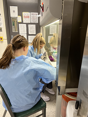 Students in Sarah Comstock's lab conducting research (Photo Credit: Sarah Comstock).