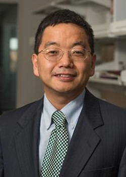 Potrait: Xuefei Huang, Ph.D