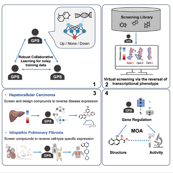The process behind cell line testing the lab used graphic