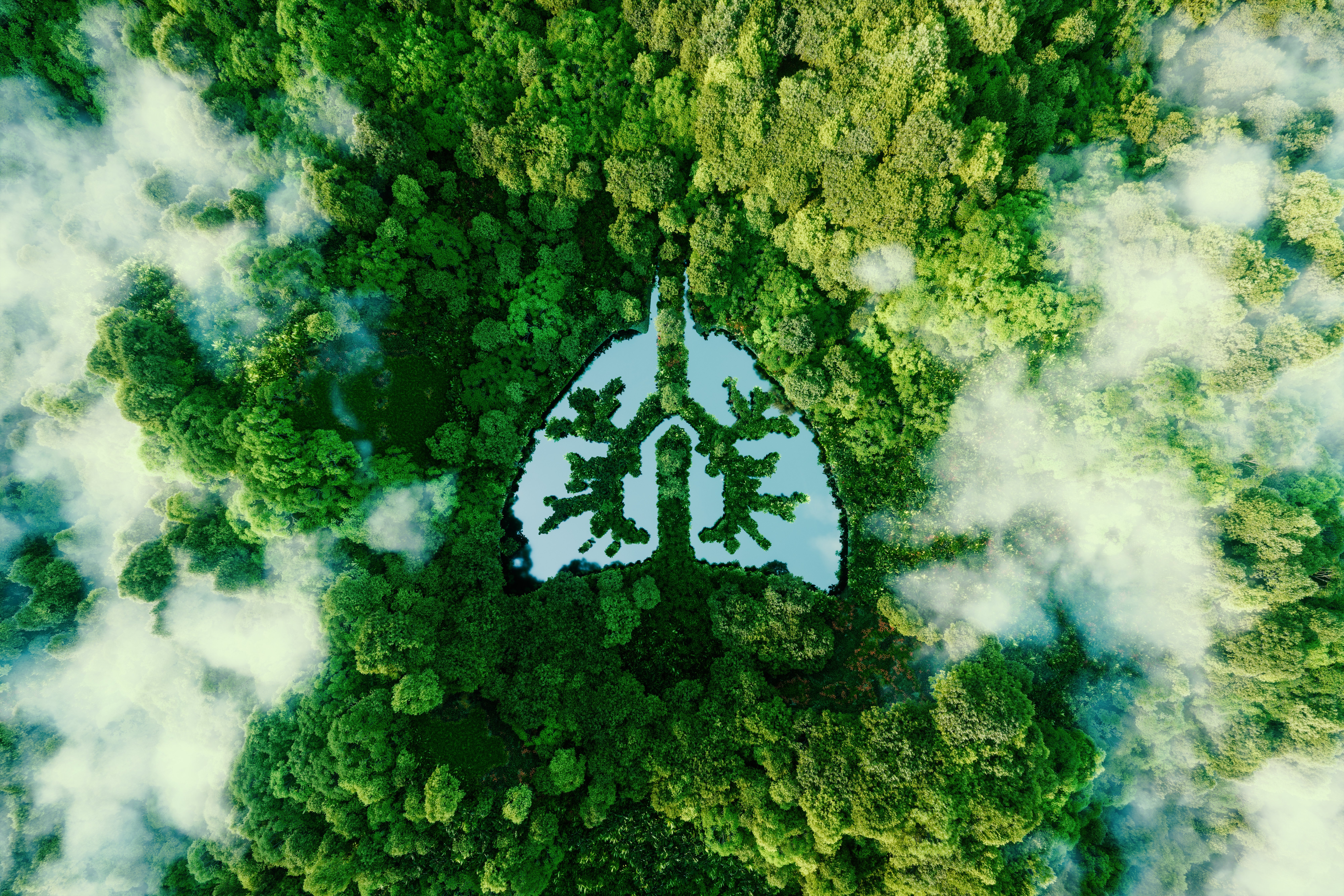 lung-tree-cancer-GettyImages-1341615616