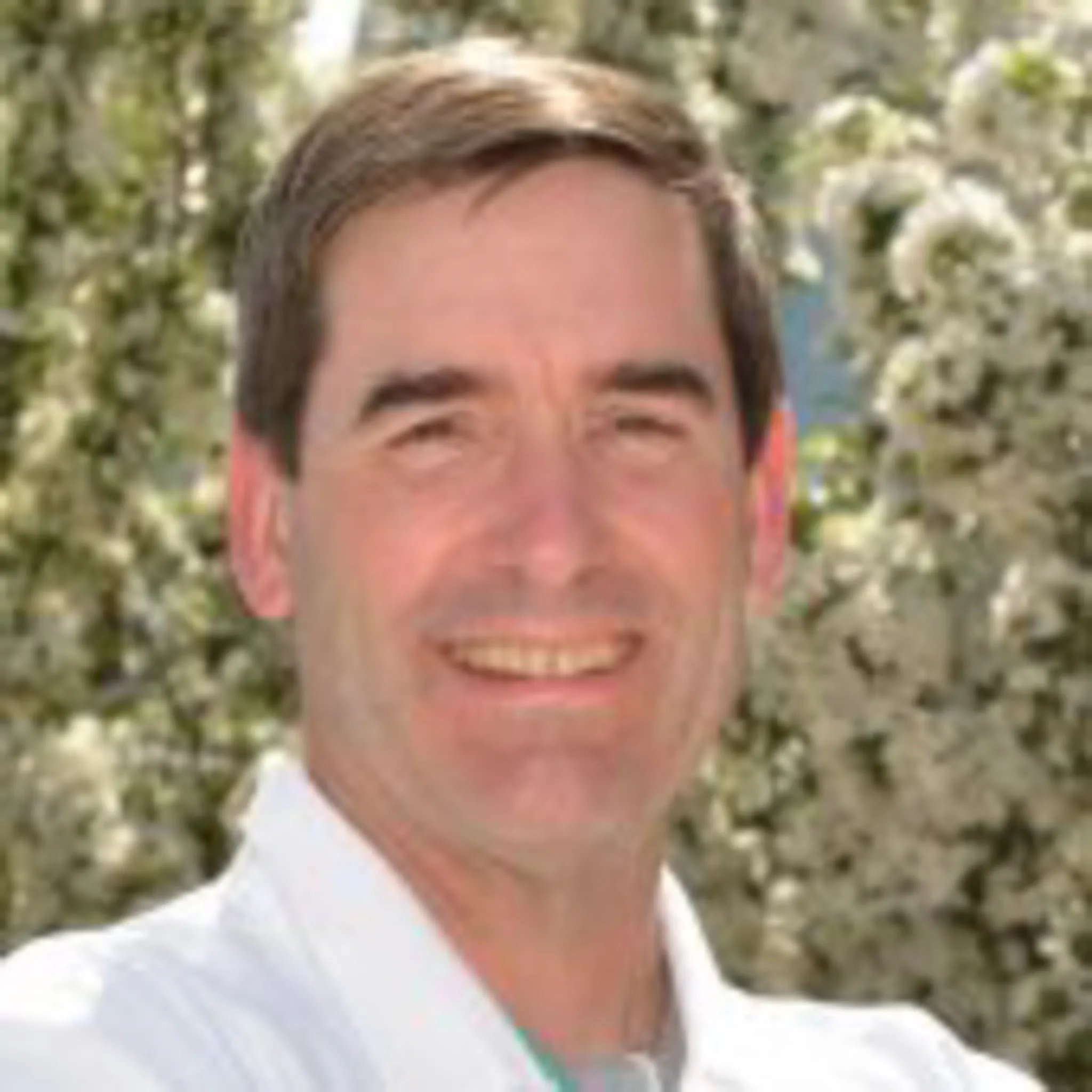 Komaromy-andras-msu-1x1