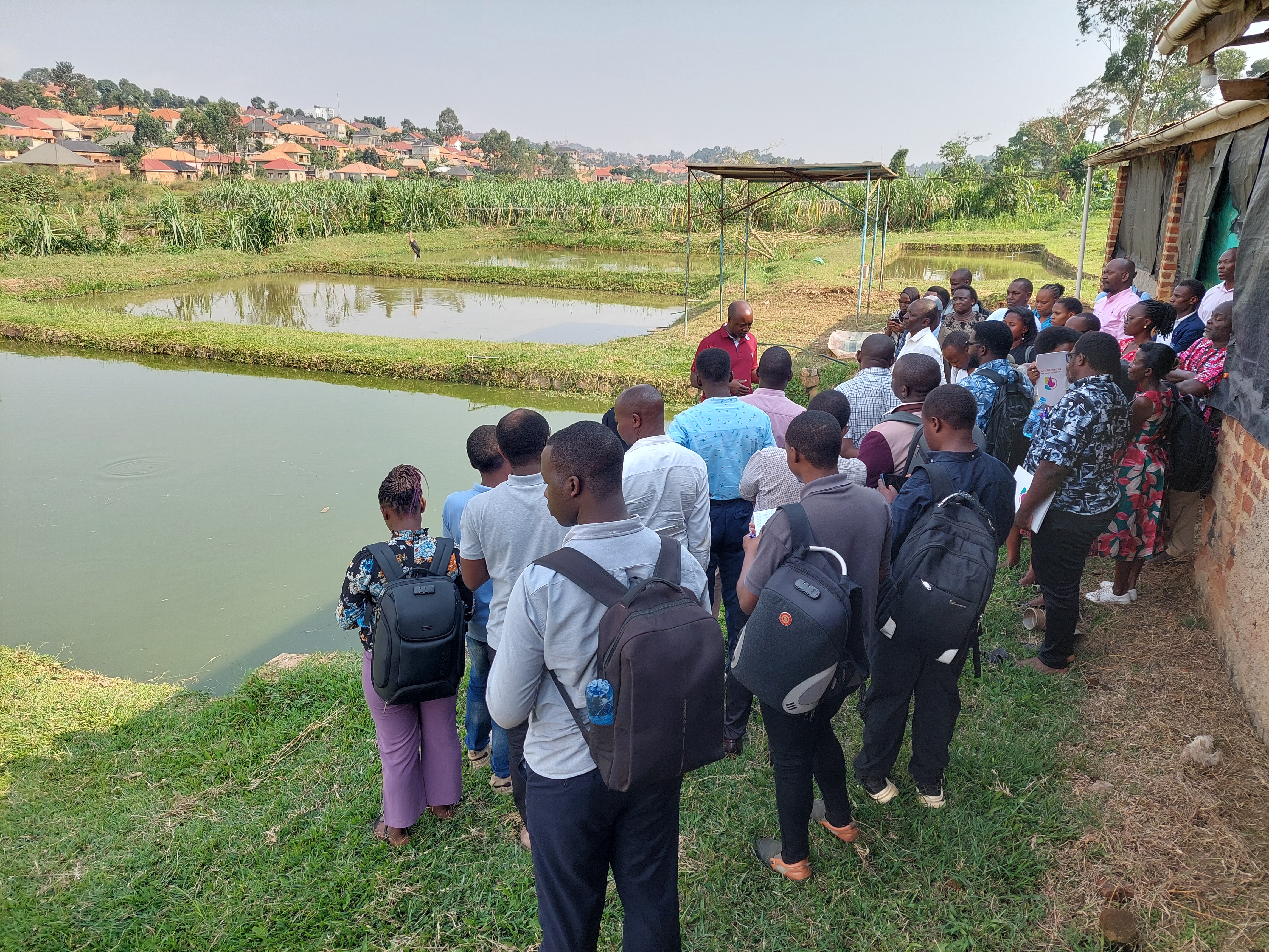 Catfish fish farm visit with One Health in Aquaculture workshop participants in Uganda.