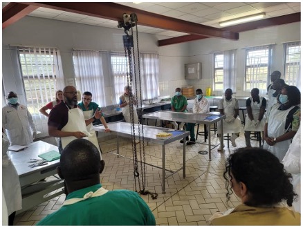 Dr. Derron Alves and Dr. Javier Asin Ros of the Global Health Pathology Network lead a veterinary pathology workshop in Windhoek, Namibia.