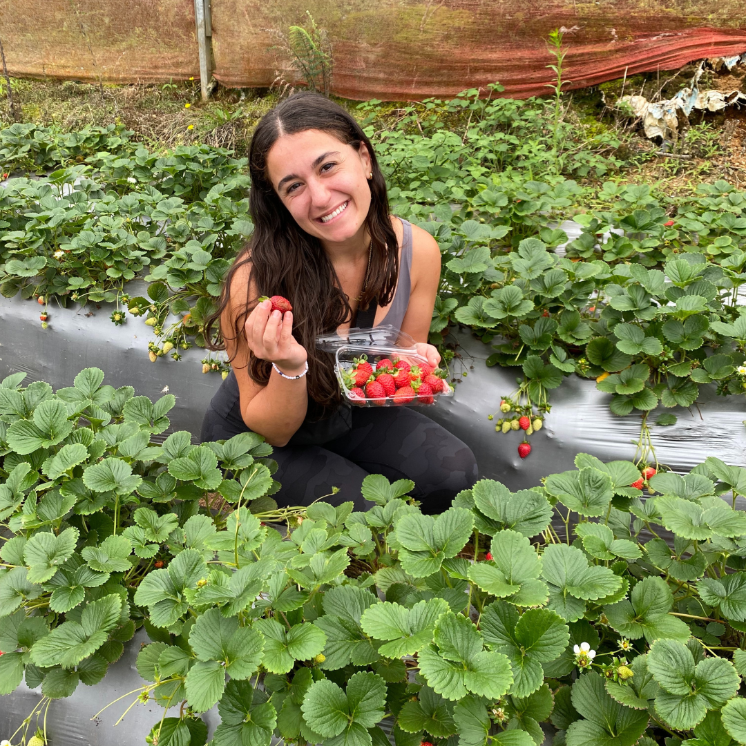 MSU College of Osteopathic Medicine Student Miranda Clinton in a Strawberry patch