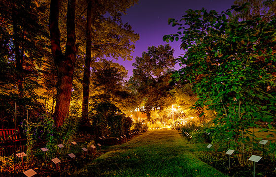 A girl walking with fallen leaves on the ground.