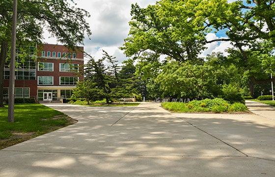 The MSU library.