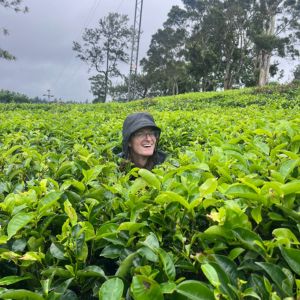 person wearing a dark bucket hat smiles while standing waist-deep among lush green tea plants on a hillside.