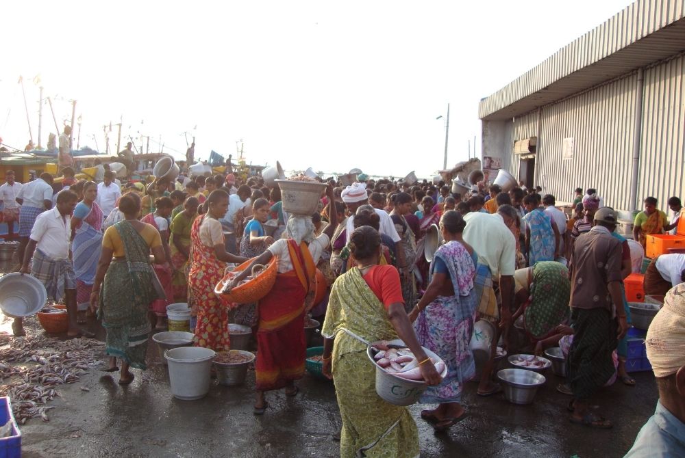 news-thumb-ssf-data (2)