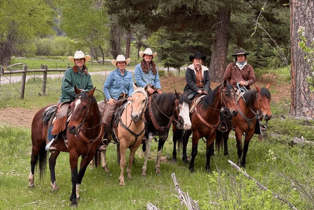 schaefer-olivia-news-thumbnail1