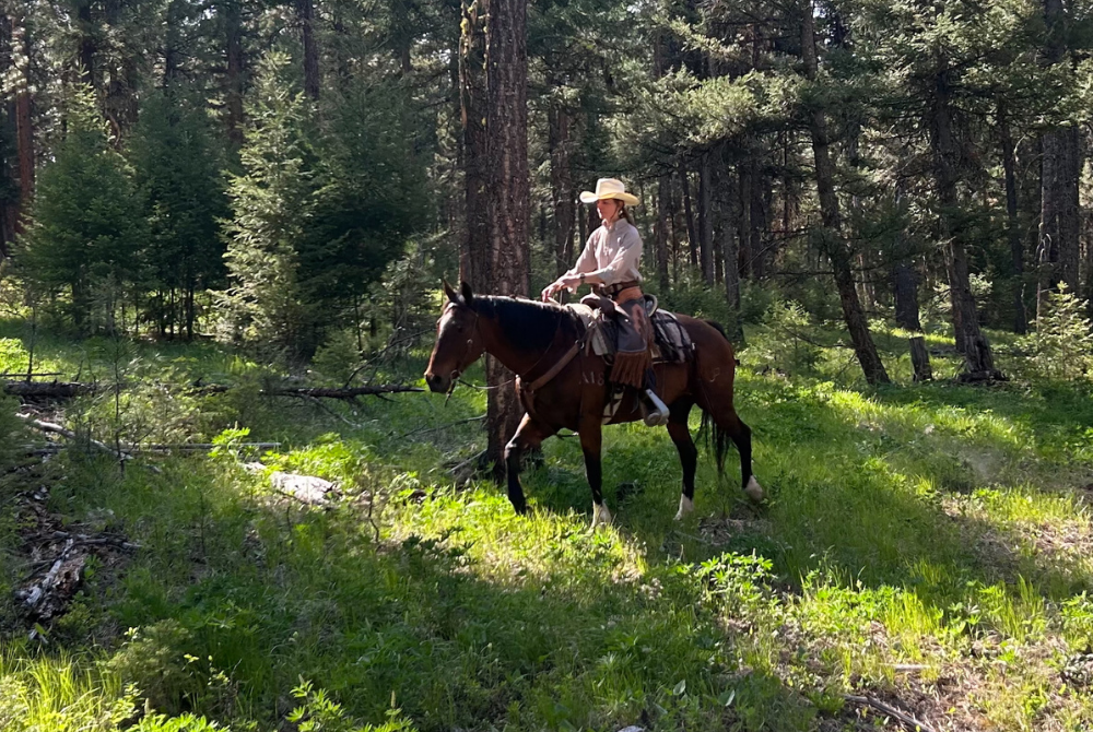 schaefer-olivia-news-thumbnail2