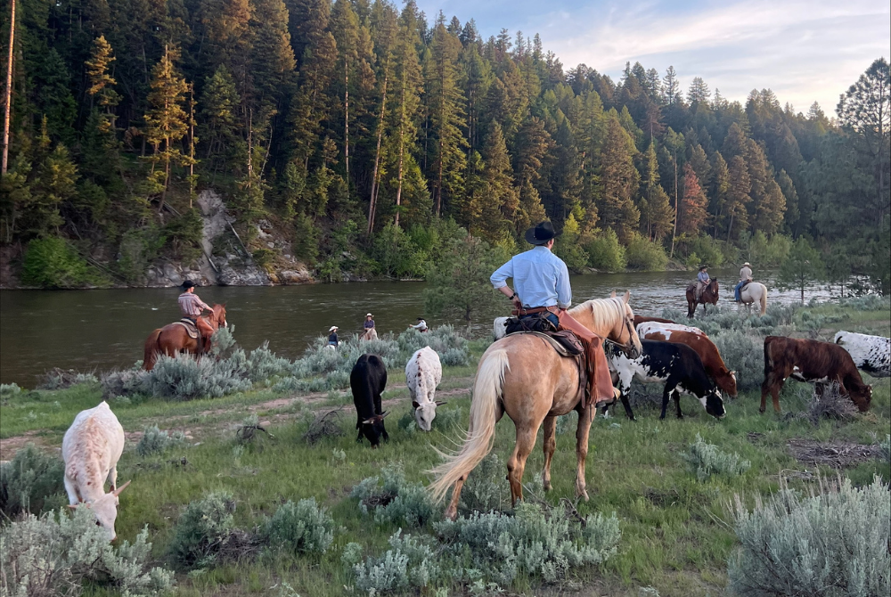 schaefer-olivia-news-thumbnail3