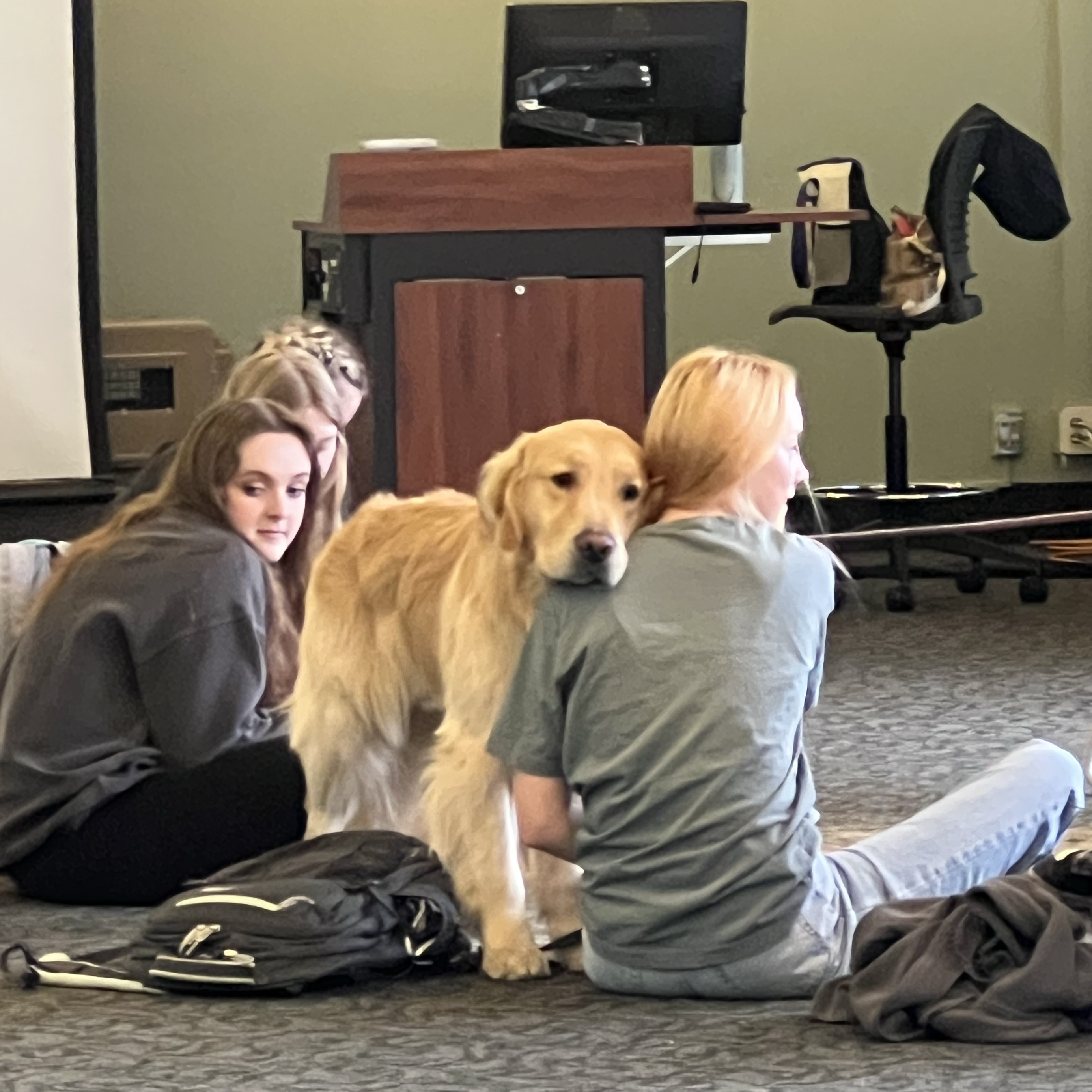dog leaning on person's shoulder