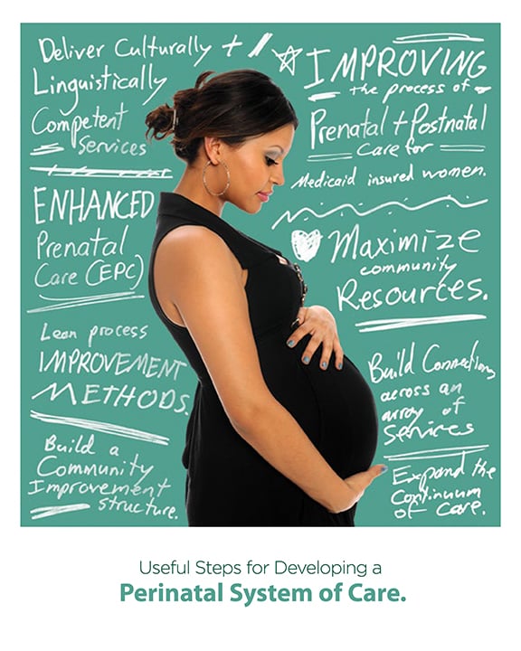 Perinatal-System-of-Care