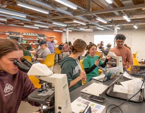 A group of students collaborate in a lab at MSU. 