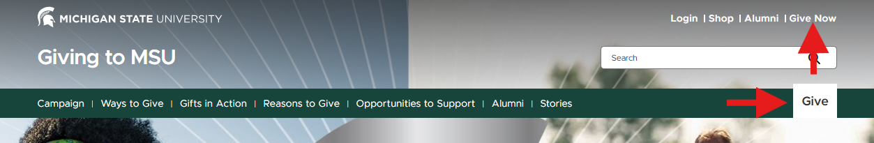 A screenshot of the givingto.msu.edu home page, with red arrows indicating the "Give Now" and "Give" buttons on the top-right corner of the web page.