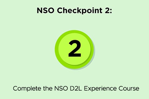 Checkpoint 2: Complete the NSO D2L Experience. The number two is in the center of the graphic and circled.