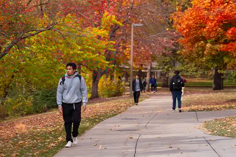 Students walk along a sidewalk among the changing fall leaves on MSU's campus.