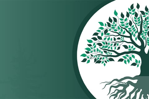 Stylized tree with leaves and roots inside a white circle on a green background.