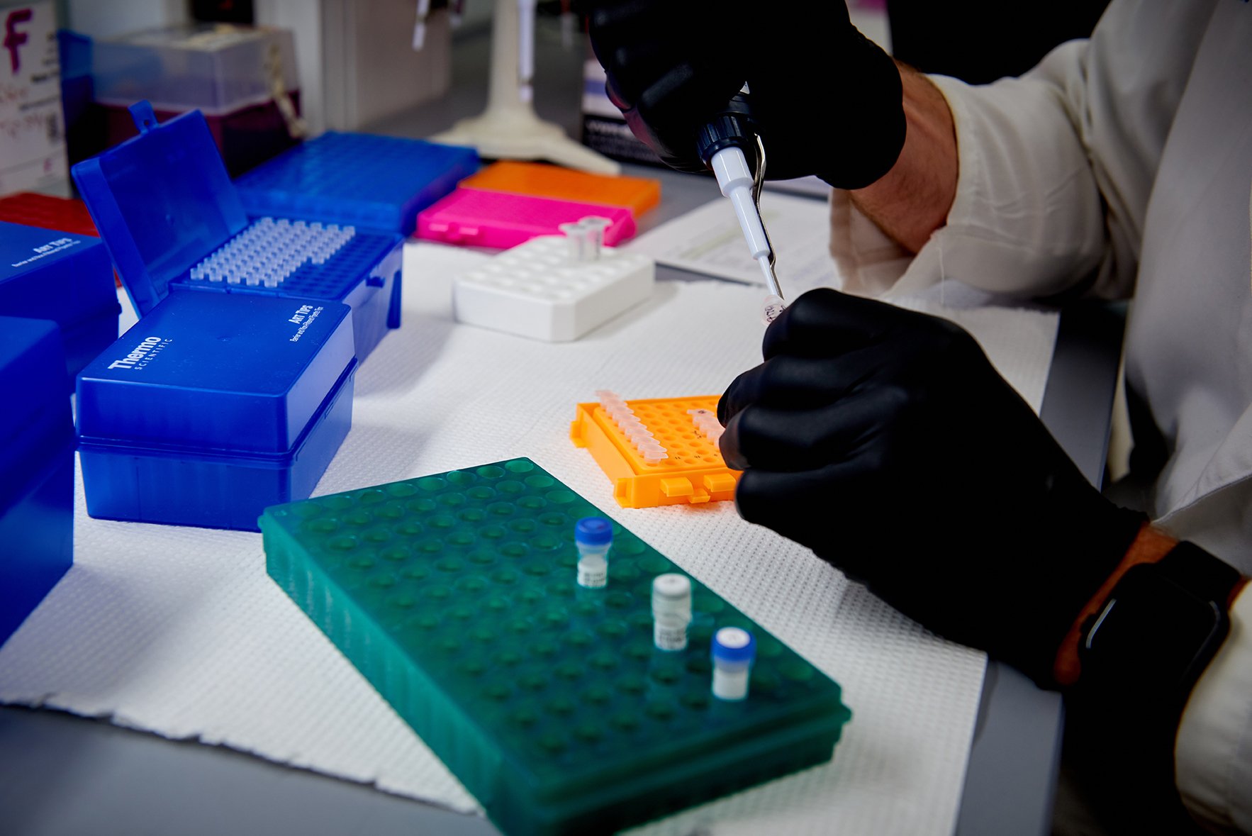 working in lab