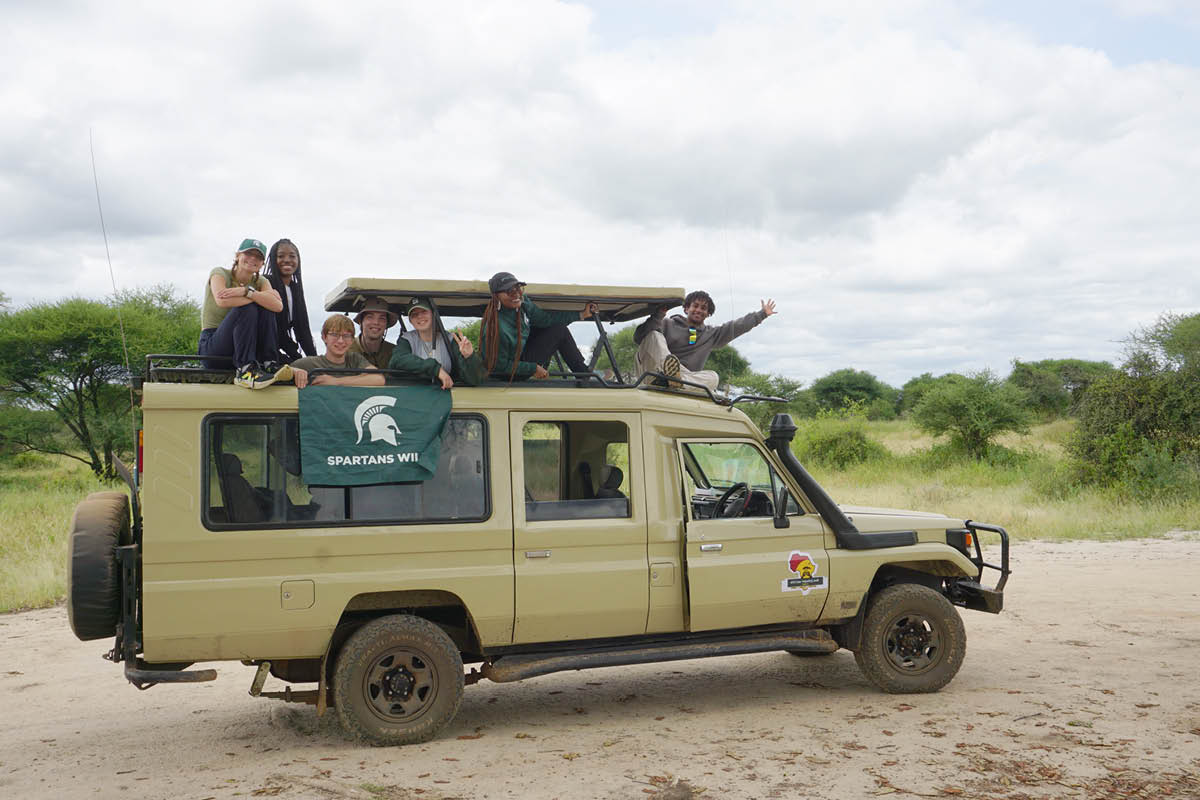 A group of people poke out the top of a safari car along a dusty road while hanging a Michigan State University flag from the back window.