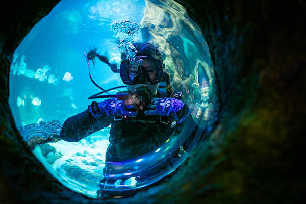 A photo of Dana MacCallumMhor underwater during a scuba dive, wearing a mask and regulator and looking through a circular viewing tunnel while surrounded by bright blue water and fish.