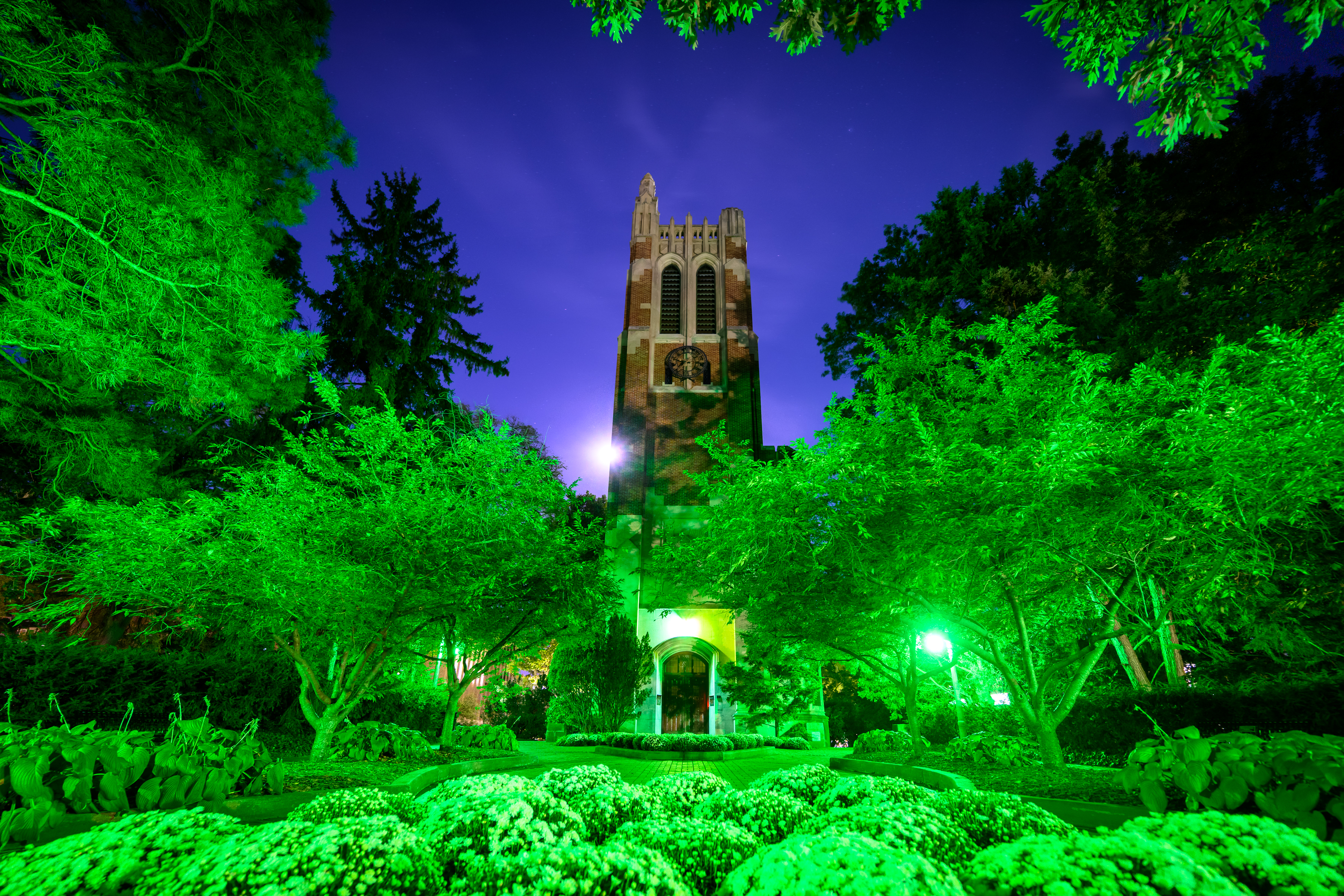 Beaumont Tower at Michigan State University glows under a deep blue night sky, dramatically lit in green for the "Glow Green" Homecoming tradition. Framed by lush trees and flowerbeds, the historic brick tower stands illuminated at the center of the scene, symbolizing Spartan pride.