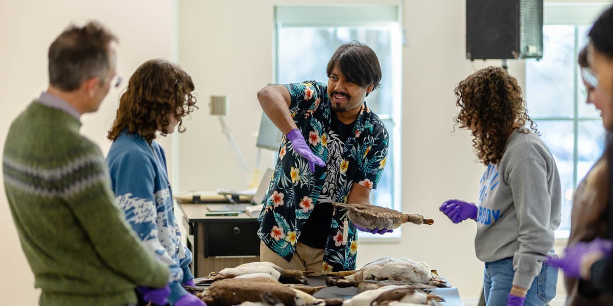 Assistant Professor Matthew Toomey stands at left while students examine bird specimens at the MSU Museum during the Biology of Birds course.