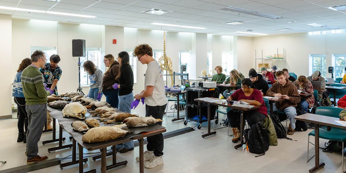A wide classroom shot of the Biology of Birds course at the MSU Museum. At the front of the class, Assistant Professor Matthew Toomey and a group of students examine a table full of bird specimens while other students sit at their desks taking notes.