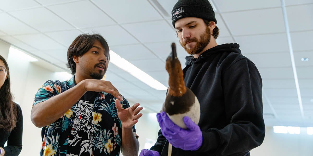 A student from the Biology of Birds course at the MSU Museum holds a stuffed bird specimen in his gloved hand while a staff member speaks to him.