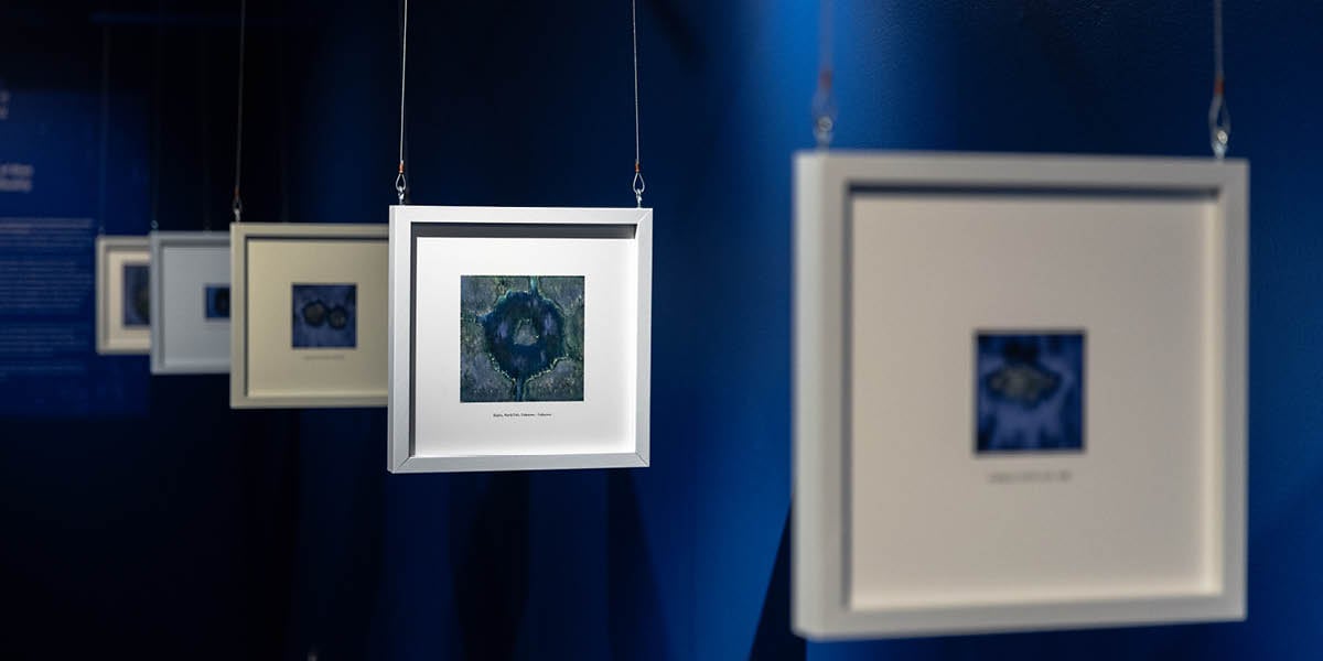 A lineup of AI-created photos hanging inside the Blurred Realities exhibit at the MSU Museum.