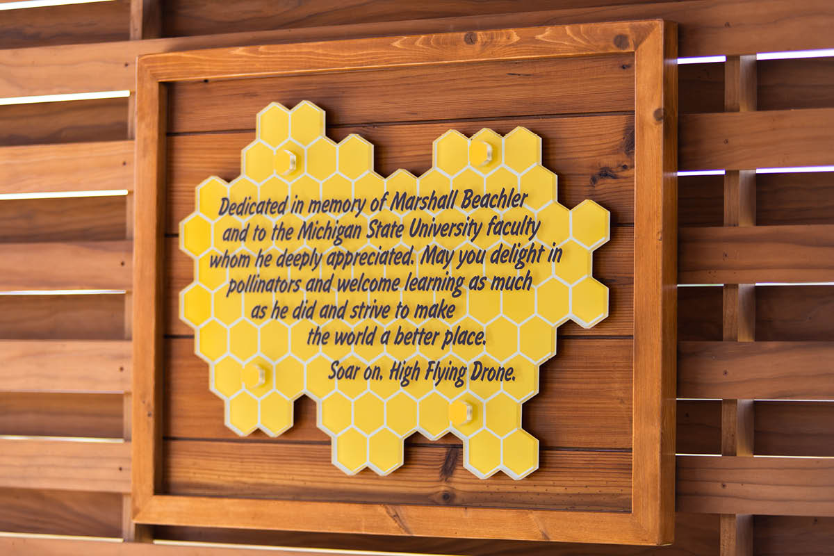 A yellow honeycomb-shaped memorial plaque mounted on a wooden frame. The plaque reads: 'Dedicated in memory of Marshall Beachler and to the Michigan State University faculty whom he deeply appreciated. May you delight in pollinators and welcome learning as much as he did and strive to make the world a better place. Soar on, High Flying Drone.'