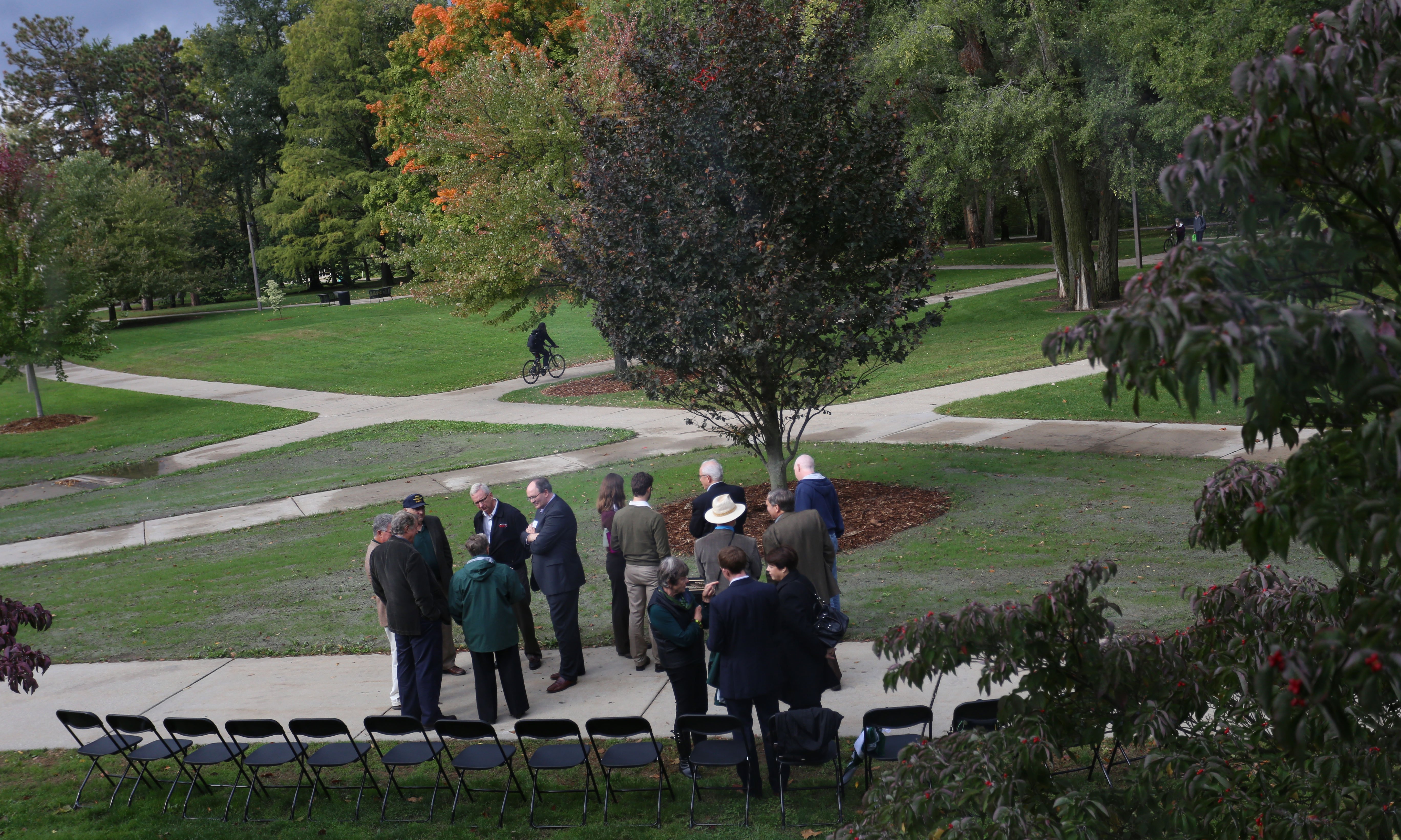 tree dedication