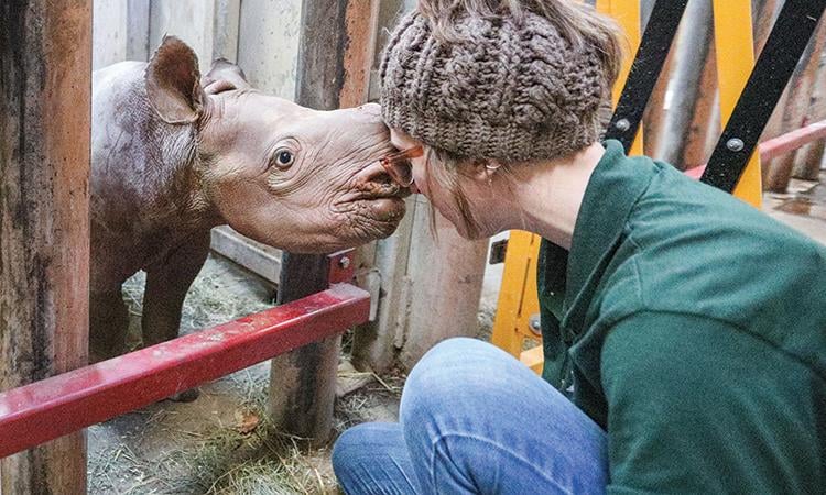 Jaali touching noses with zookeeper