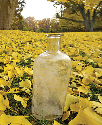 A bottle from Beal's Bottle Experiement.