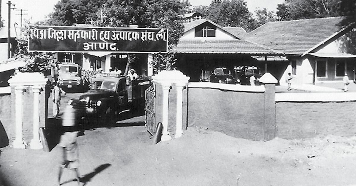 Amul Dairy, 1950s