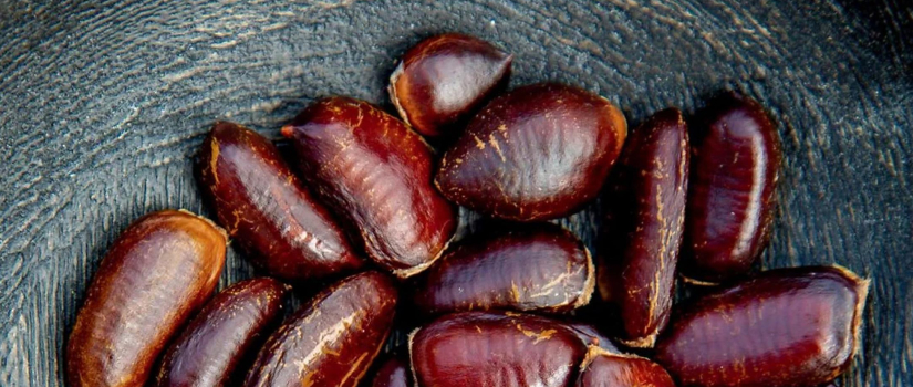 Pawpaw seeds