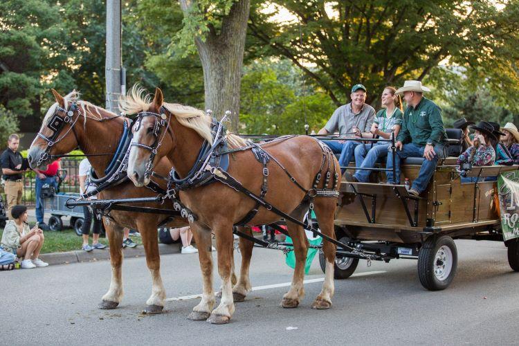 MSU Rodeo Club 