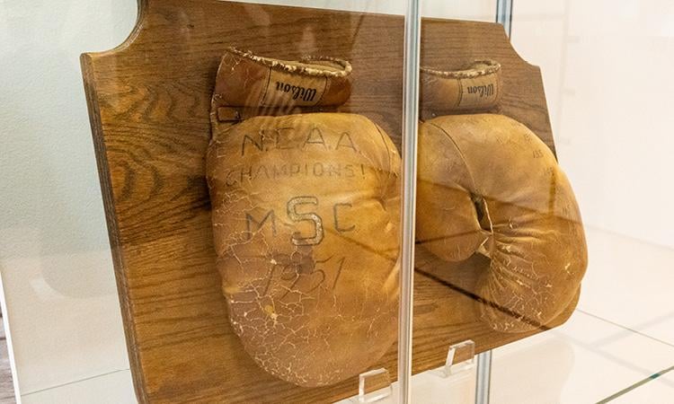 MSC Championship Boxing Gloves
