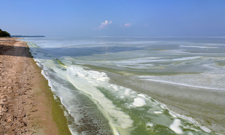 Lake Erie Algal Bloom