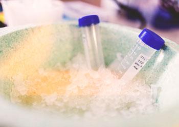 MSU is a leader in STEM education.