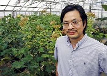 Dr. Sheng Yang He