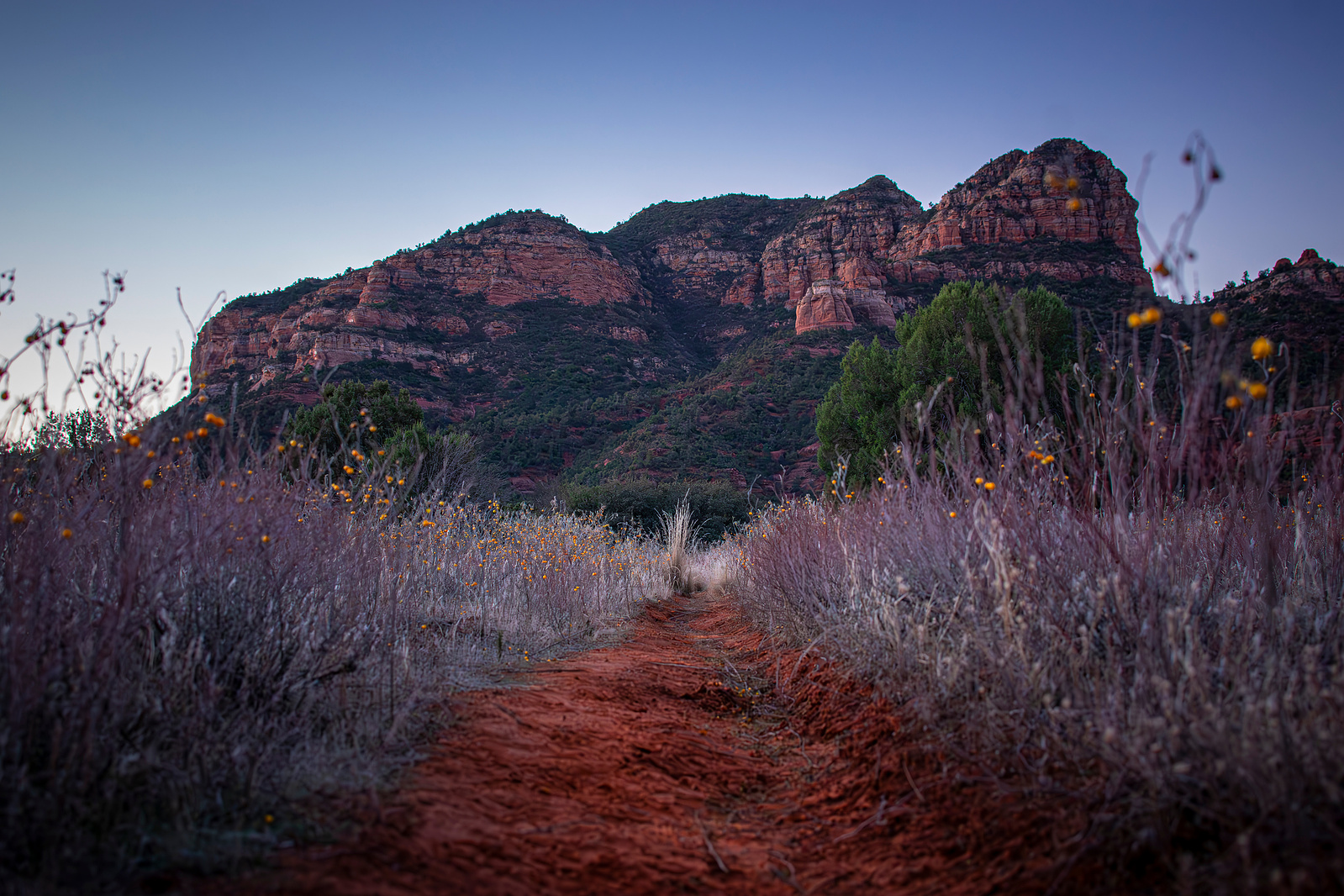Landscape photography of a mountain the the distance. Leading up to it, a red clay path surrounded by wildflowers.