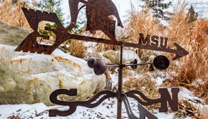 An MSU weathervane sits in the snow.