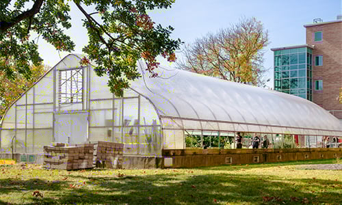 The view of a large greenhouse on a sunny day, foregrounded by green tree foliage. The greenhouse is placed in front of a large glass windowed edge to a building.