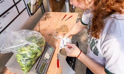 A student stands at a wooden table in front of a digital scale, holding a roll of stickers. A bag of lettuce is sitting on the scale. 