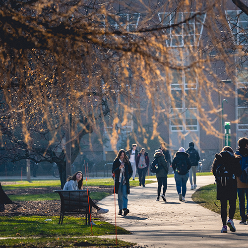 Students walking on a path on campus with a fall tree as the backdrop