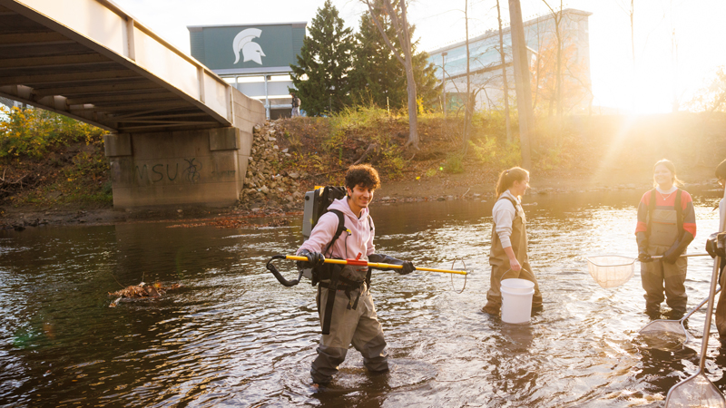 Michigan State University aquatic ecology and management students collect water samples and use nets while standing in a campus stream near a bridge, gaining hands-on field experience in freshwater ecosystems.