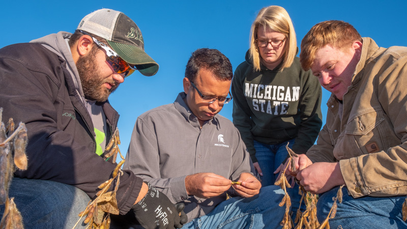 An agronomist guides Michigan State University Cropping Systems Science students as they inspect soybean plants in the field, gaining practical experience in crop production, plant health, and sustainable agriculture.