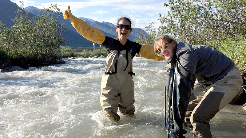 Michigan State University earth and environmental sciences students stand in a rushing mountain stream wearing waders, conducting hands-on fieldwork in a rocky watershed.