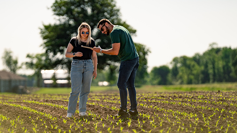 MSU managerial economics students review crop data in a field, connecting agriculture, business decisions, and the bioeconomy.